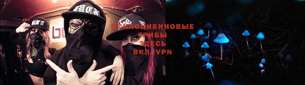 ГАЛЛЮЦИНОГЕННЫЕ ГРИБЫ Баксан