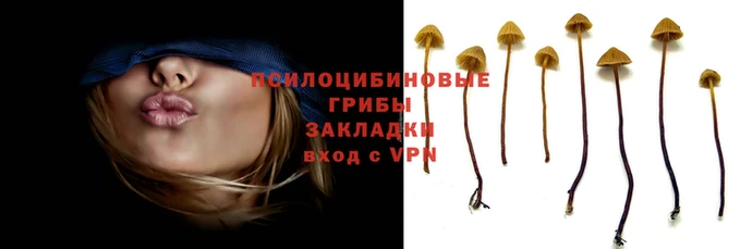 марки nbome Балахна