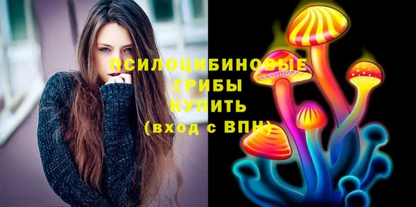 ГАЛЛЮЦИНОГЕННЫЕ ГРИБЫ Баксан
