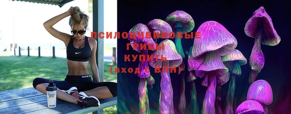 ГАЛЛЮЦИНОГЕННЫЕ ГРИБЫ Баксан