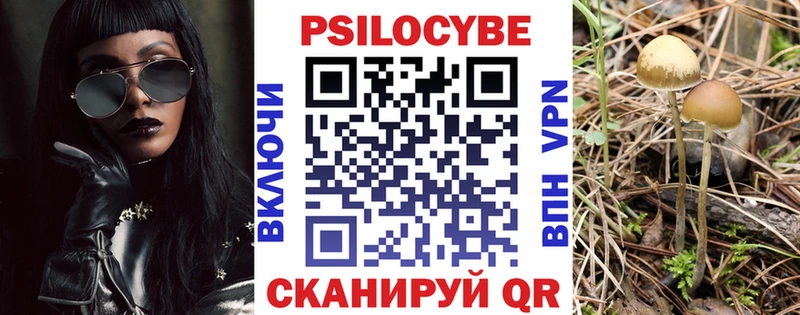 закладки  Биробиджан  Псилоцибиновые грибы Psilocybe 